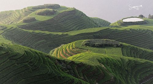 【五一出行攻略】十大旅游胜地，带你畅游中国美食，美景，文化！