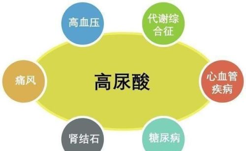 关于尿酸的预防和控制，只是少吃海鲜啤酒吗？恐怕没你想的简单