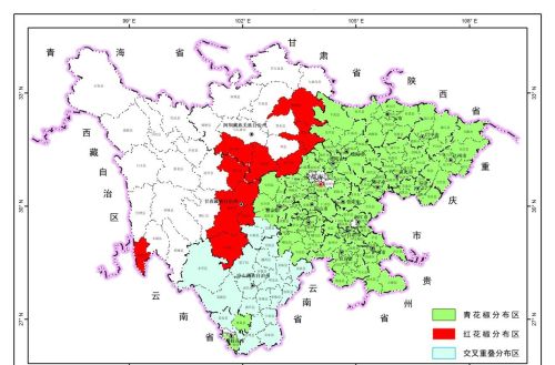 在四川，为什么“麻”比“辣”更重要？