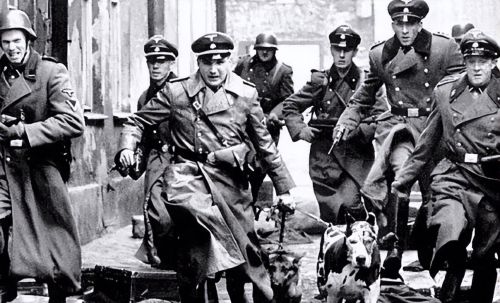 德国为什么要灭绝犹太人？犹太人被纳粹灭族的原因（被屠杀600万