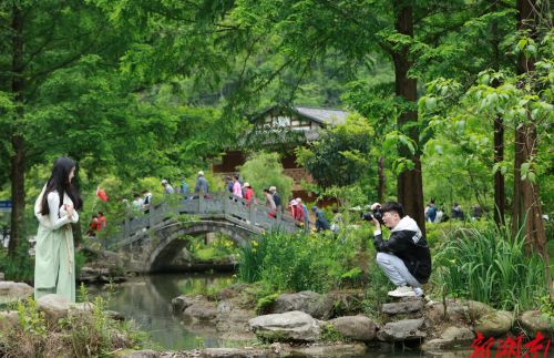 到张家界，嗨游“五一”丨张家界黄龙洞景区旅拍服务“上线”