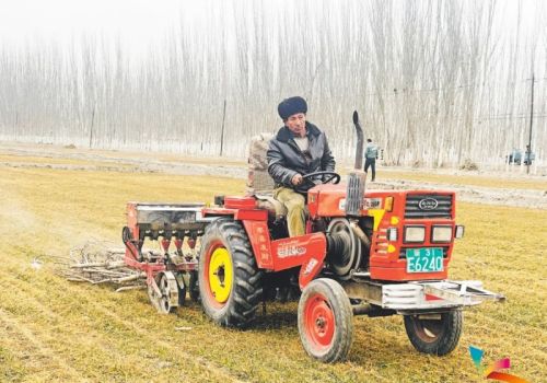 “新”中有数丨春耕有序推进 生产稳固有力——一季度新疆农业重点工作成效解读
