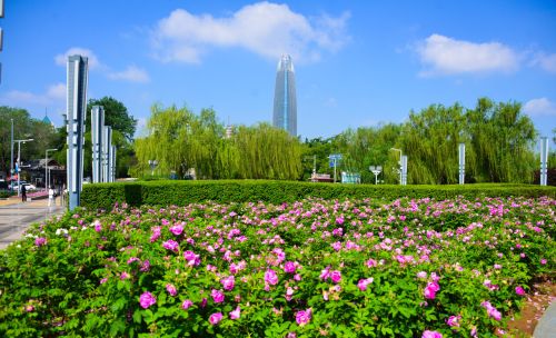 济南五一假期天气预报出炉！冷空气不放假，又想来搅局！？