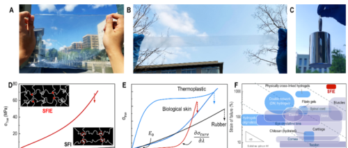 上科大团队造出丝蛋白弹性体，可用于制备人工皮肤和柔性光电器件