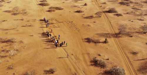 研究：气候变化导致东非发生灾难性干旱可能性提高100倍