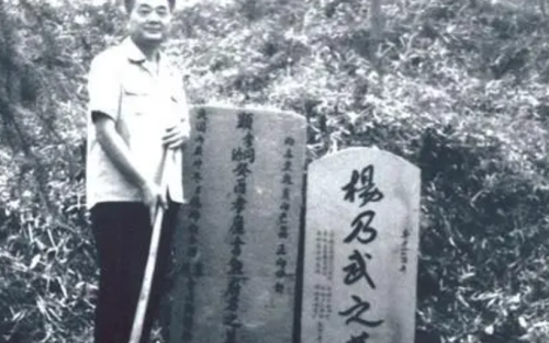 1876年，杨乃武与小白菜冤案被慈禧平反后，二人的后半生迥然不同