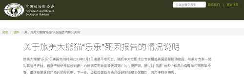 中国动物园协会：旅美大熊猫“乐乐”死因主要为心脏病变