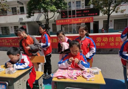 蒸湘区西站路小学开展劳动技能大赛