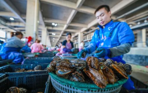 一桌最海鲜，荣成美食地图“胃”你而来！