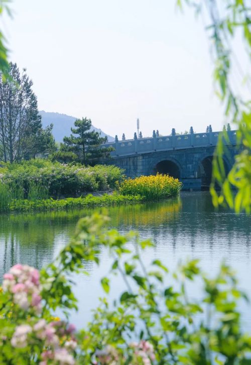 超级烟火、花开满园，山东“五一”不容错过的出游地！