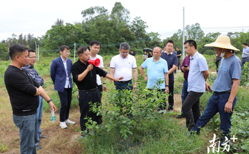 农业专家 “传经送宝” 将培训课堂搬到产业基地