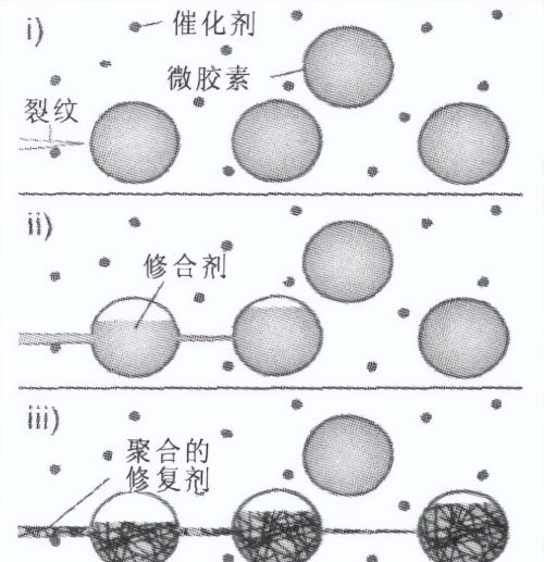 聚醚F127二丙烯酸酯有何作用？纤维环损伤有哪些原因和危害？