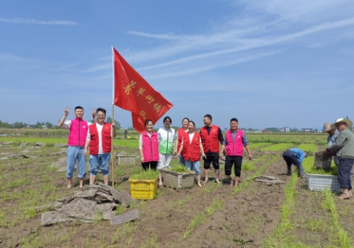 南县茅草街镇：不负农时不误春 志愿服务助春耕