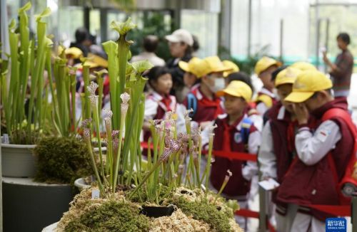 国家植物园已收集珍稀濒危植物近千种