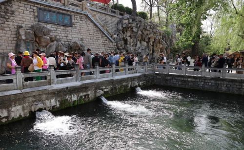 “倒春寒”降雨助力 趵突泉黑虎泉地下水位五连涨！