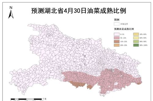 湖北省油菜预计4月底开始陆续成熟收获 5月上旬需避雨做好机收调度