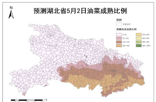 湖北省油菜预计4月底开始陆续成熟收获 5月上旬需避雨做好机收调度