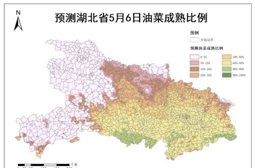 湖北省油菜预计4月底开始陆续成熟收获 5月上旬需避雨做好机收调度