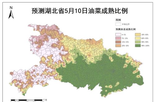 湖北省油菜预计4月底开始陆续成熟收获 5月上旬需避雨做好机收调度