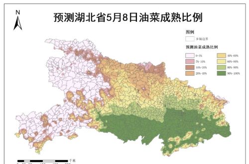 湖北省油菜预计4月底开始陆续成熟收获 5月上旬需避雨做好机收调度