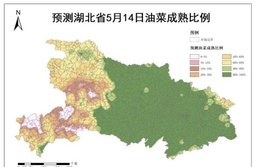 湖北省油菜预计4月底开始陆续成熟收获 5月上旬需避雨做好机收调度