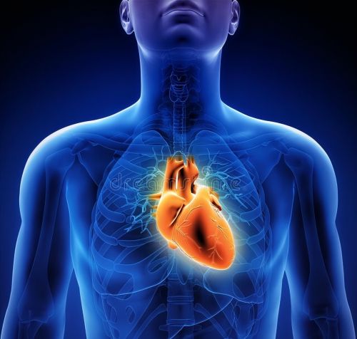 动脉硬化斑块能够逆转消失吗？医生支几招，预防心血管风险