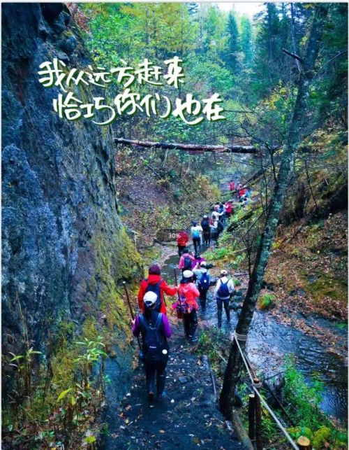 五一长白山，十大主题，百种玩法（二）冰泉茶语，溯溪而行——生态休闲游