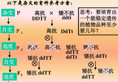 昔日葡萄之王，如今积压滞销！阳光玫瑰为何败得这么惨烈？