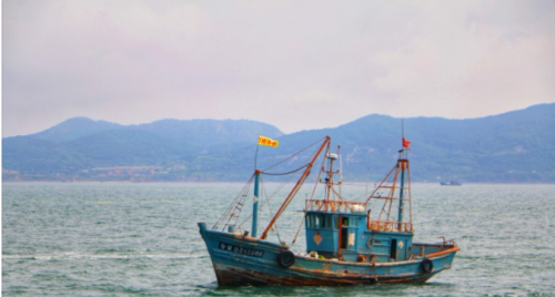 鲅鱼：中日韩三国开发，年产最高58.9万吨，为何在青岛深受推崇？