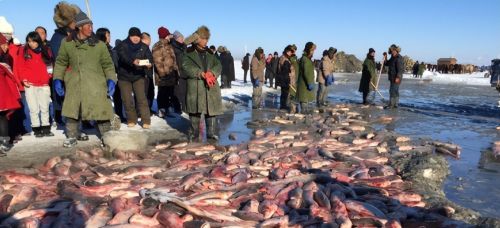 查干湖的“财富密码”：年产鲜鱼6000吨，为何没有“资源之困”？