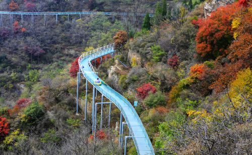 6个经济大省一季报：总量突破12.7万亿，河南增速稳居第一