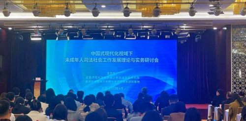 《中国式现代化视域下未成年人司法社会工作发展理论与实务研讨会》在京召开