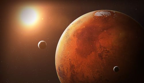 火星并不是地球的未来，金星才是