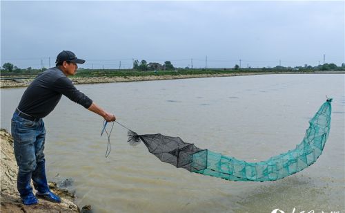 安徽郎溪：一水两用养稻虾 一田双收富农家