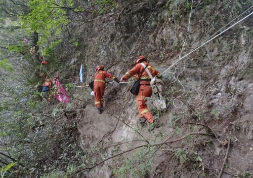 四川稻城森林雷击火灾已全部扑灭 现已移交地方看守