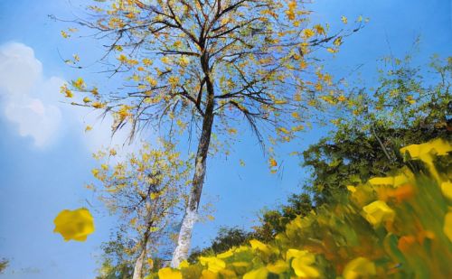 “五一”在AI绘画里走村串巷，邂逅佛山“花”样年华