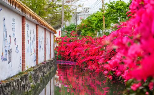 “五一”在AI绘画里走村串巷，邂逅佛山“花”样年华