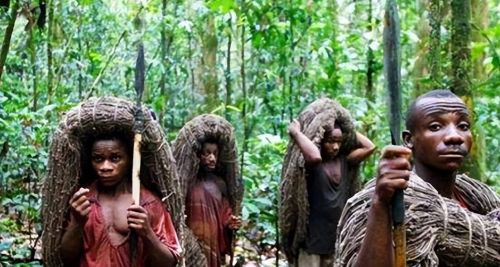 非洲原始森林里的小矮人，成人身高1.3米，8岁就发育成熟结婚生子