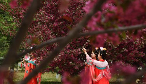 北京国际花园节开幕 世园公园400余场文化盛宴将持续至11月