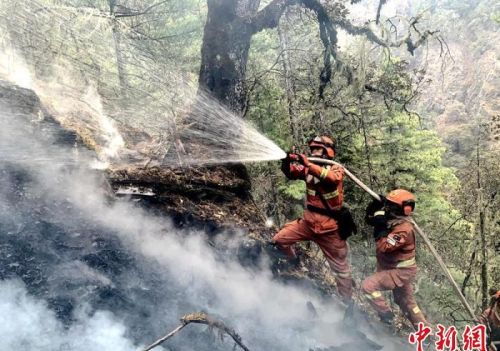 四川稻城县境内因雷击引发的森林火灾已全部扑灭
