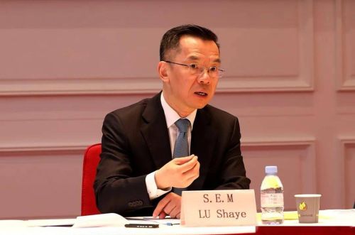 中国驻法大使，“战狼外交官”卢沙野“闯祸”了？