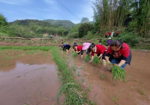 渝北玉峰山：文明实践进乡村 农耕活动趣味多