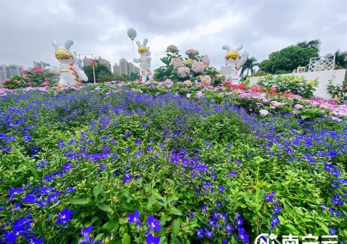 五一假期来南宁感受沉浸式花境造梦吧！