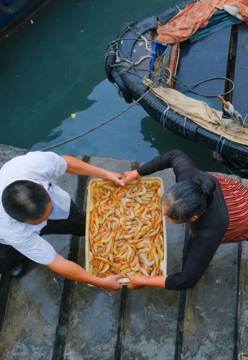 广西海鲜第一大城，美翻了半个中国！