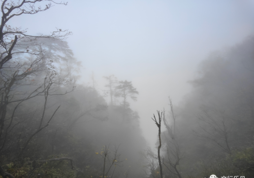 在路上—034X乐山峨嵋山