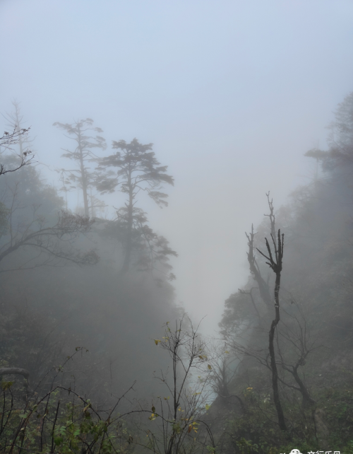 在路上—034X乐山峨嵋山