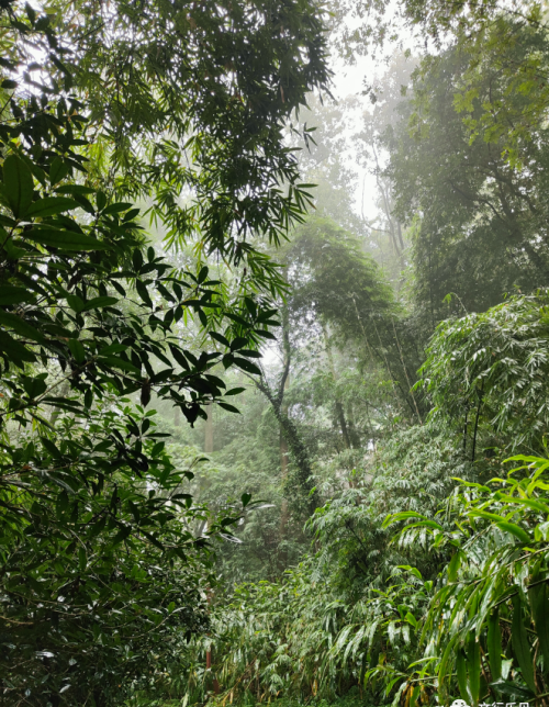 在路上—034四川乐山