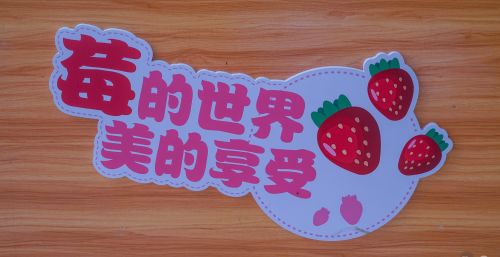 打卡中国草莓之乡，品尝金奖草莓，就在我国首个气候宜居城市