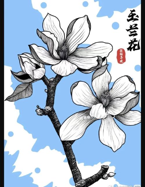 线描儿童画素材(线描画儿童画范画)