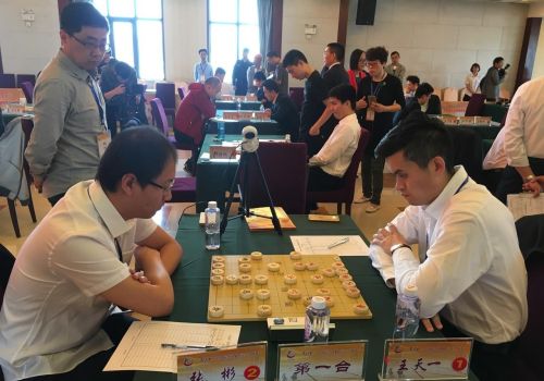 积分循环赛适合人数众多的象棋比赛吗(积分循环赛怎么排的)